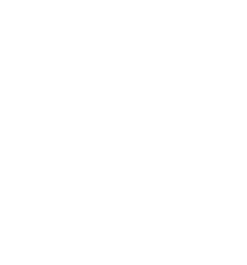 Riddles Logo